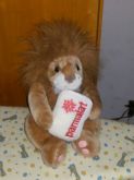 Urso de pelucia.
