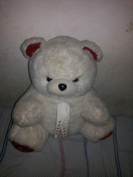 Urso branco