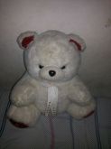 Urso branco