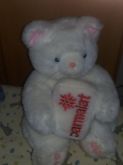 Urso de pelucia.
