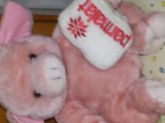 Urso de pelucia.